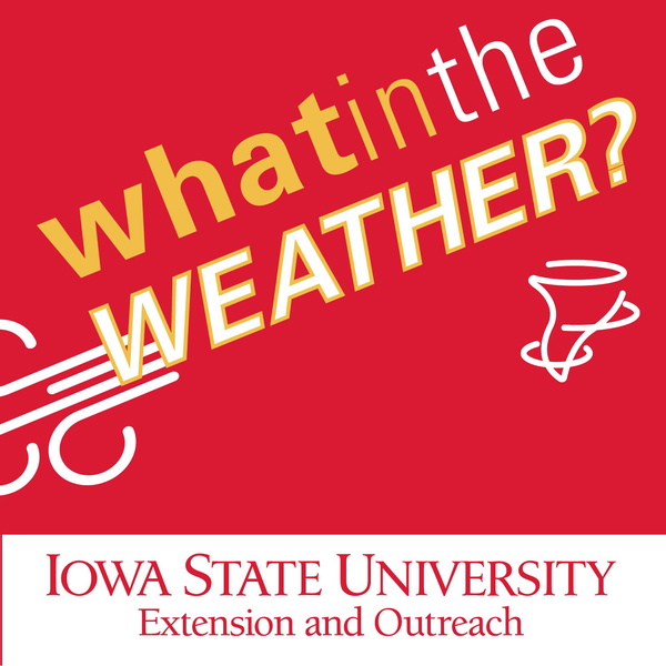 Artwork for What in the Weather?