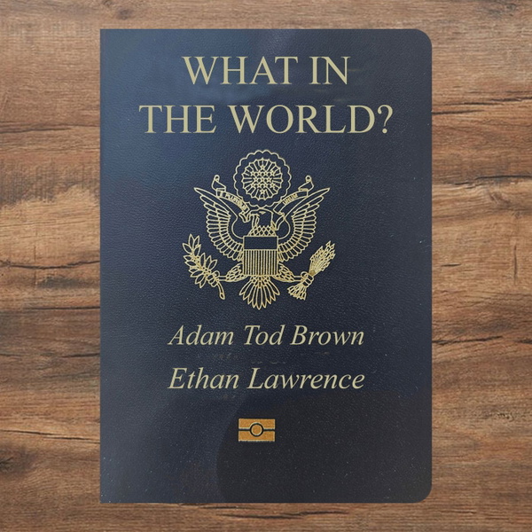 Artwork for What In The World?
