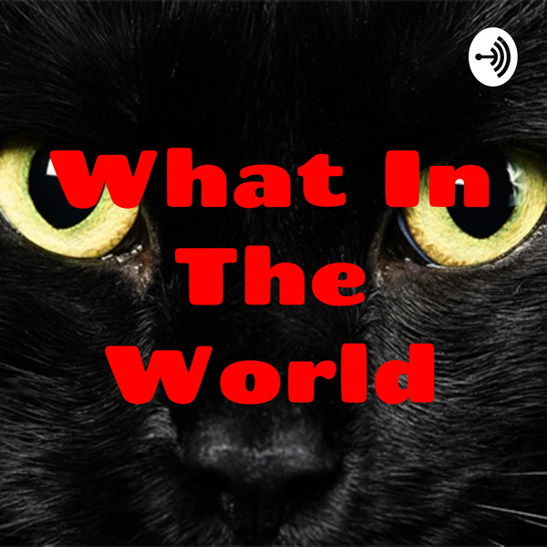 Artwork for What In The World