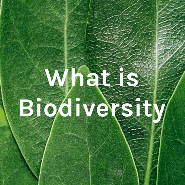 Artwork for What is Biodiversity