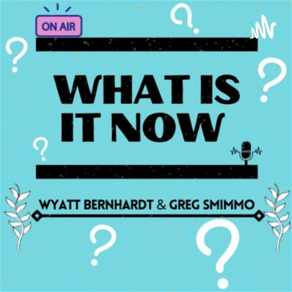 Artwork for What Is It Now?