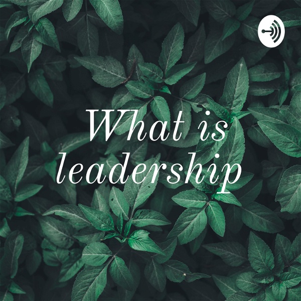 Artwork for What is leadership