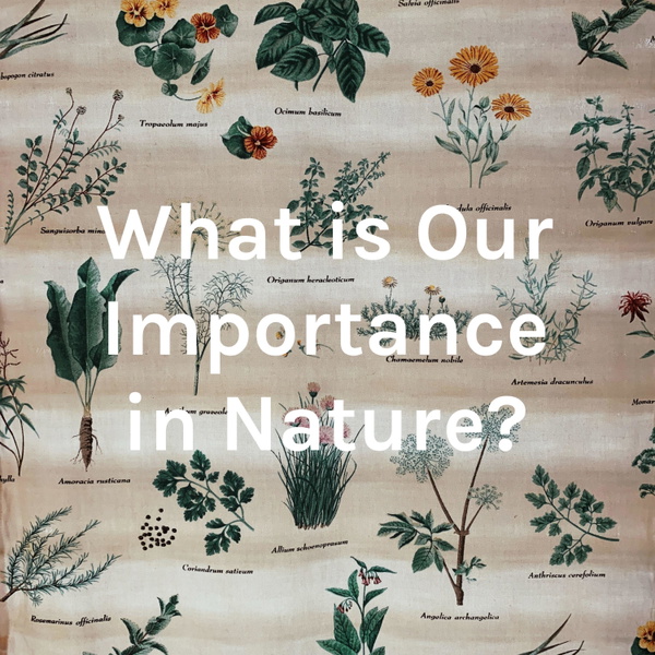 Artwork for What is Our Importance in Nature?