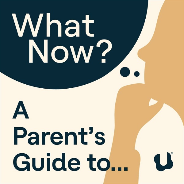 Artwork for What Now? A Parent's Guide to...