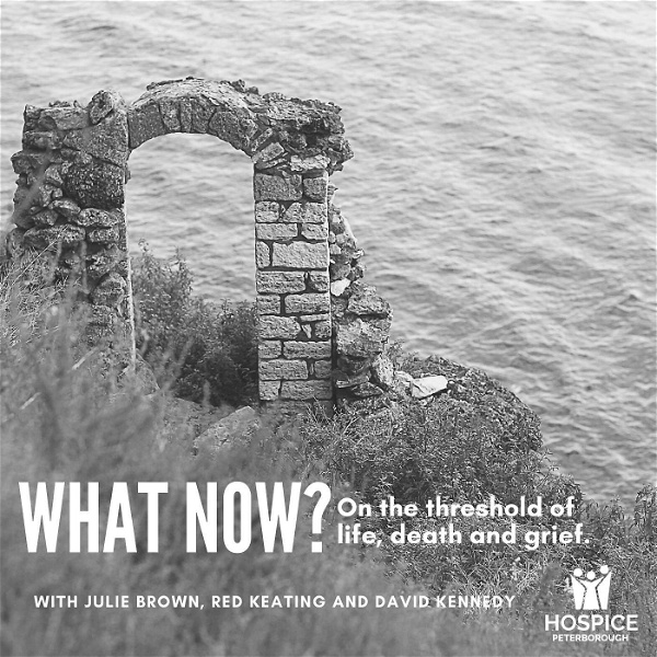 Artwork for What Now? On the threshold of life, death, and grief.