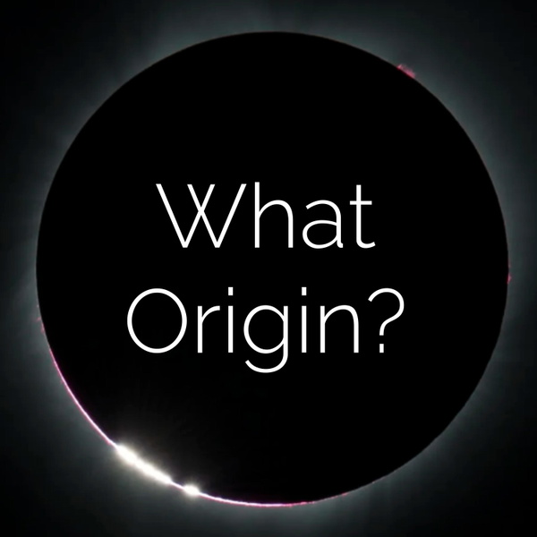 Artwork for What Origin?
