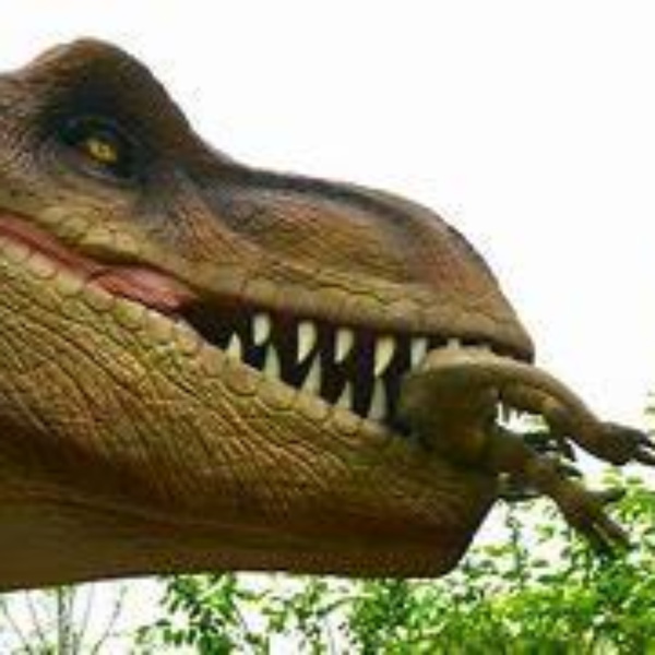 Artwork for What Should We Call It?