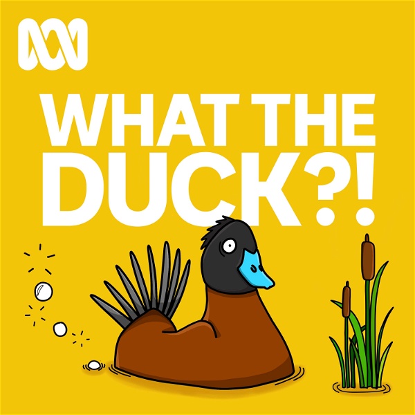 Artwork for What The Duck?!