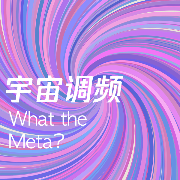 Artwork for What the Meta 宇宙调频