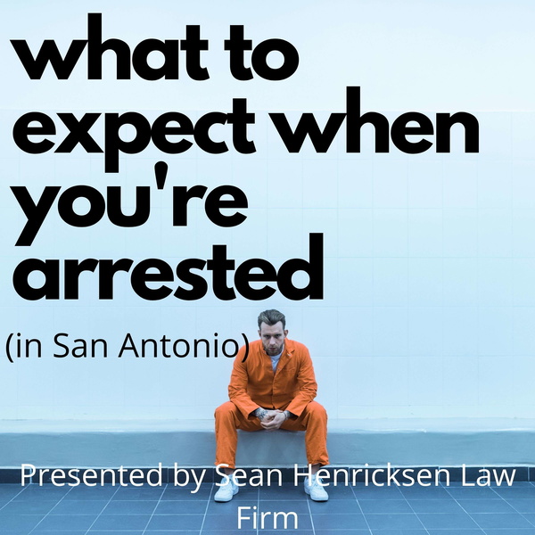 Artwork for What to Expect When You're Arrested