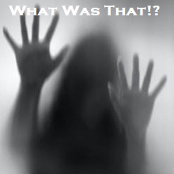 Artwork for What Was That!? Podcast