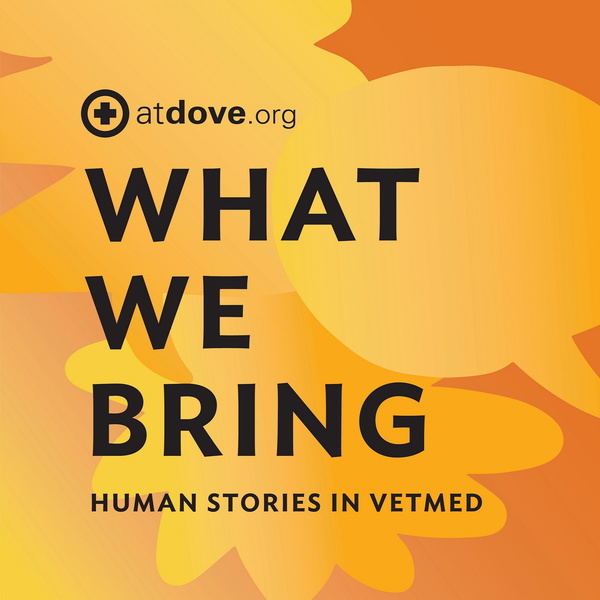 Artwork for What We Bring