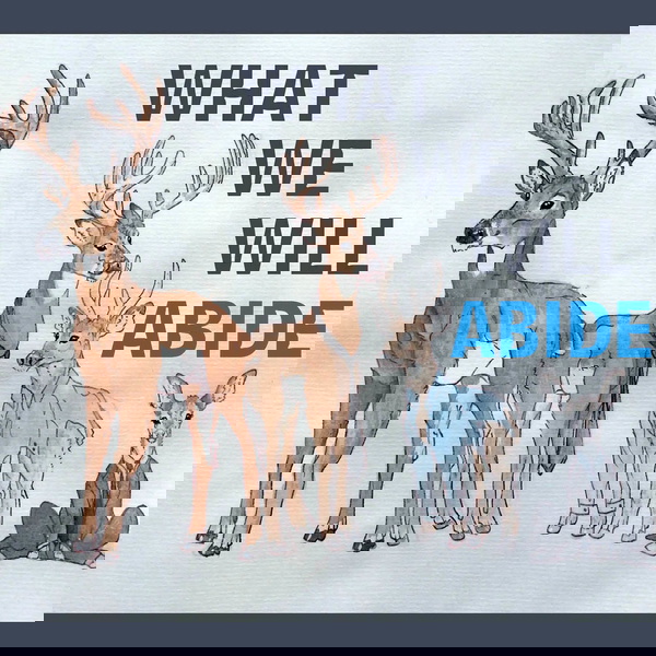 Artwork for What We Will Abide