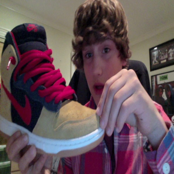 Artwork for What's Good Vol. 1: Nike SB High Dunk Edition