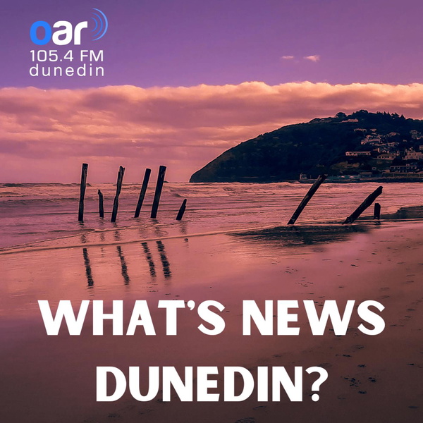 Artwork for What's News Dunedin?