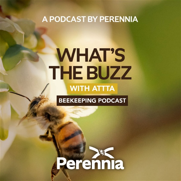 Artwork for What’s the Buzz with ATTTA Beekeeping Podcast