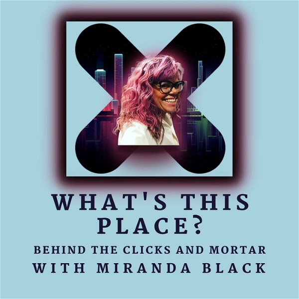 Artwork for What's This Place?  Behind the Clicks and Mortar