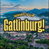 What’s Up Gatlinburg!