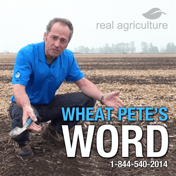 Artwork for Wheat Pete's Word