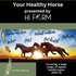 Hi Form Horse Life