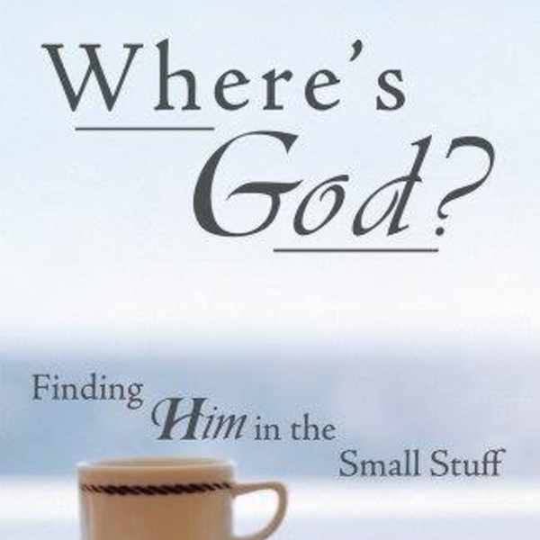 Artwork for Where's God? Finding Him in the Small Stuff