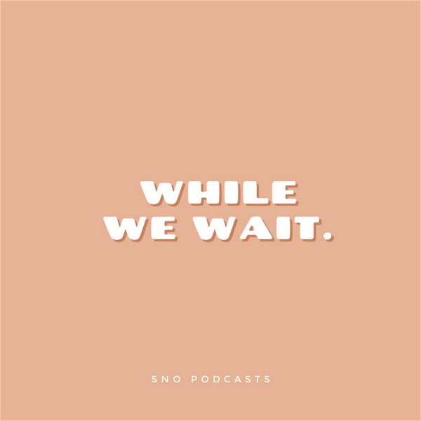 Artwork for While We Wait: The Podcast Before The Marriage