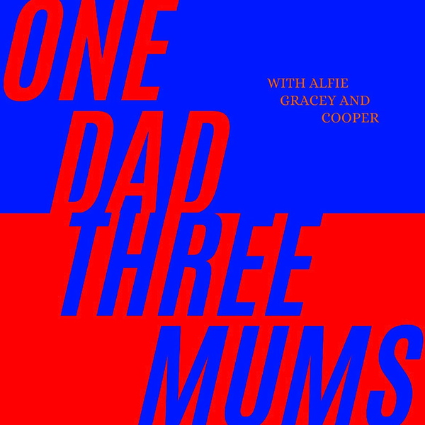 Artwork for 1 DAD 3 MUMS