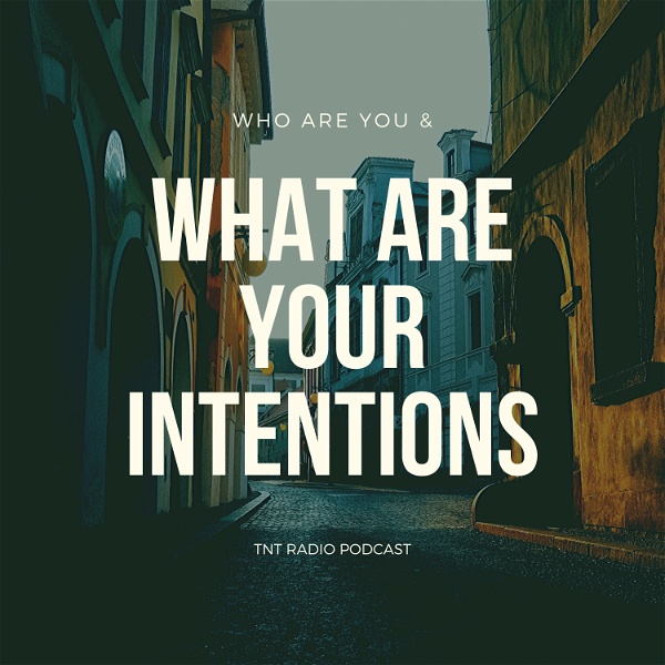 Artwork for Who Are You & What Are Your Intentions