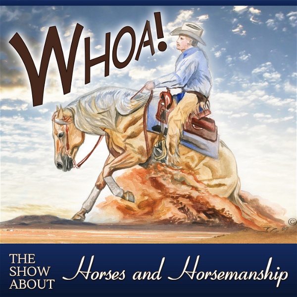 Artwork for The Whoa Podcast about Horses and Horsemanship
