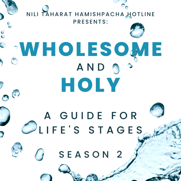 Artwork for Wholesome and Holy: Conversations for Jewish Women