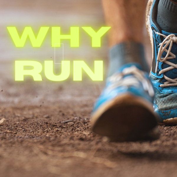 Artwork for Why I Run