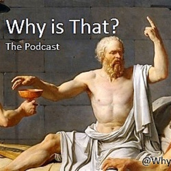Artwork for Why Is That Podcast
