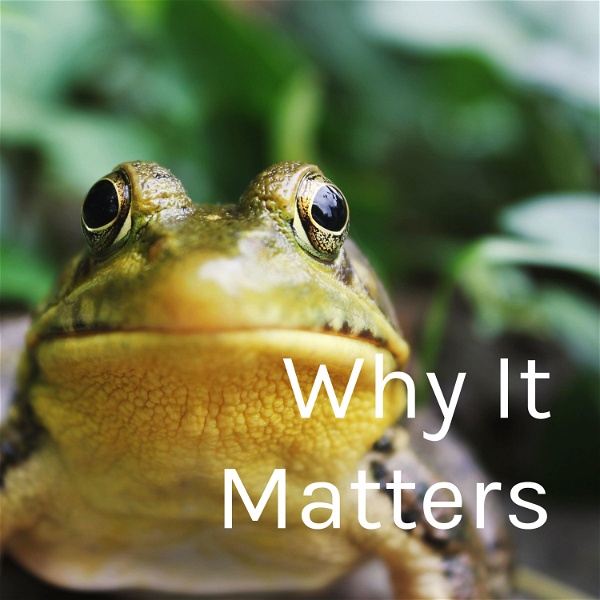 Artwork for Why It Matters