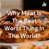 Why Meat Is The Beat Worst Thing In The World?