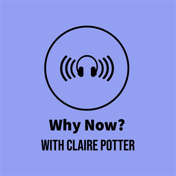 Artwork for Why Now? A Political Junkie Podcast