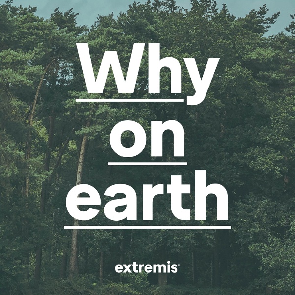Artwork for Why on earth
