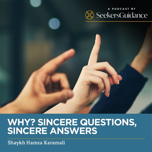 Artwork for Why? Sincere Questions, Sincere Answers