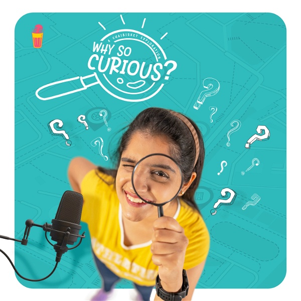 Artwork for Why so curious..?