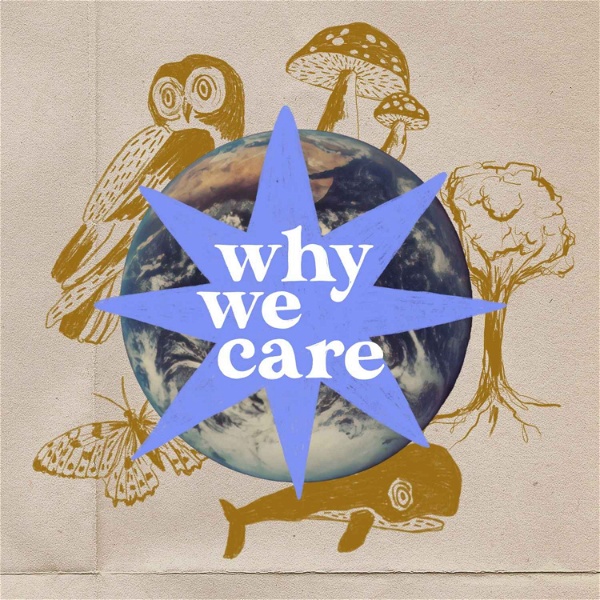 Artwork for Why We Care