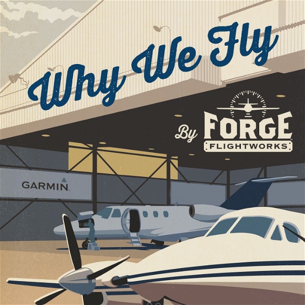 Artwork for Why We Fly