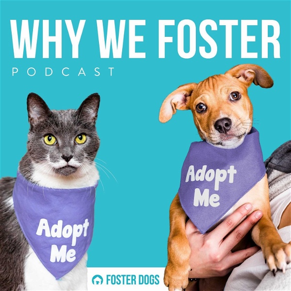 Artwork for Why We Foster
