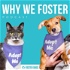 Why We Foster