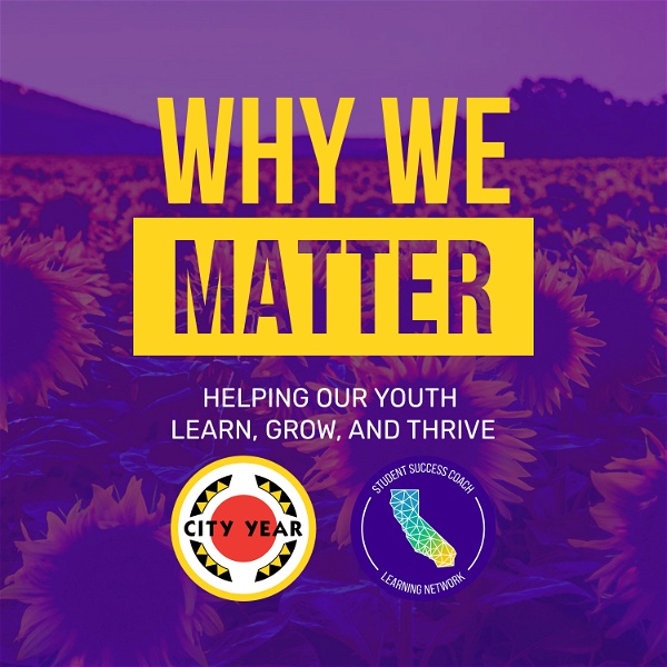 Artwork for Why We Matter