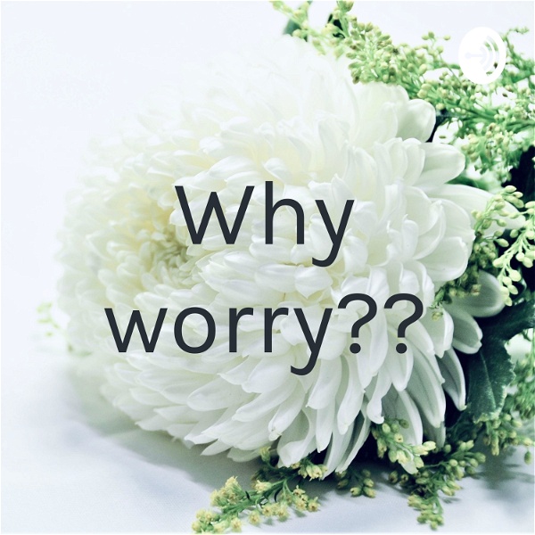 Artwork for Why worry??