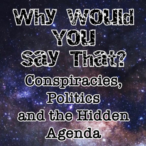 Artwork for Why Would You Say That?