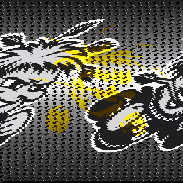 Artwork for Wichita State Sports