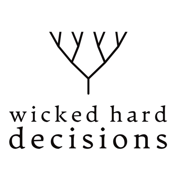 Artwork for Wicked Hard Decisions
