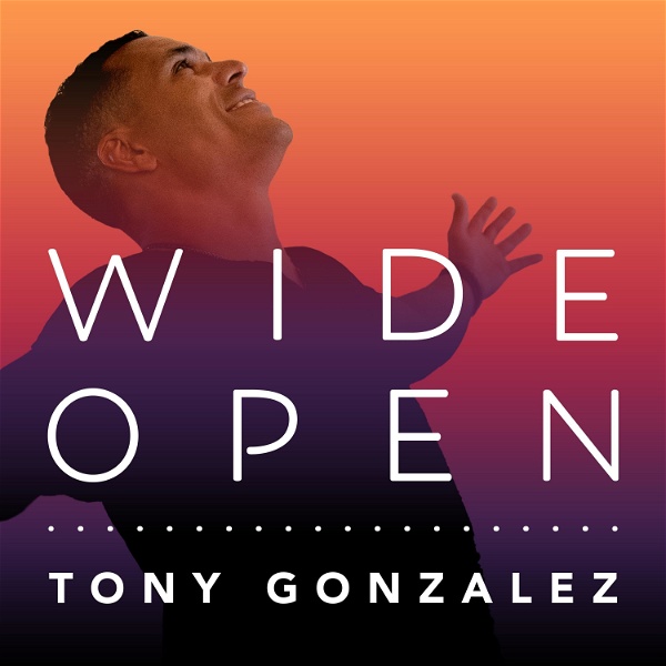 Artwork for Wide Open