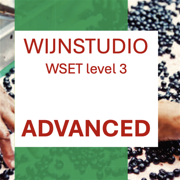 Artwork for Wijn Advanced – Wijnstudio level 3