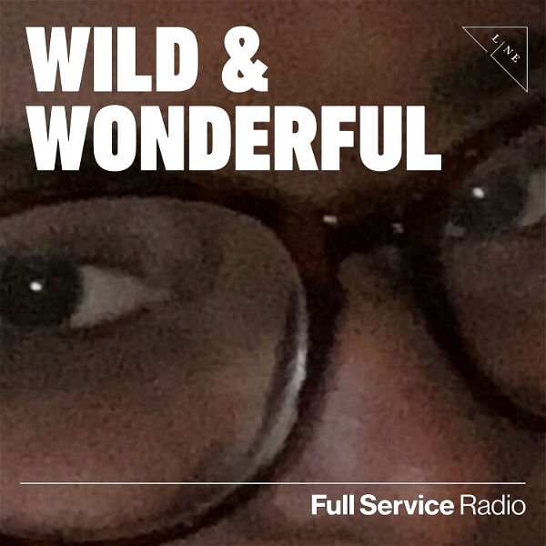 Artwork for Wild and Wonderful